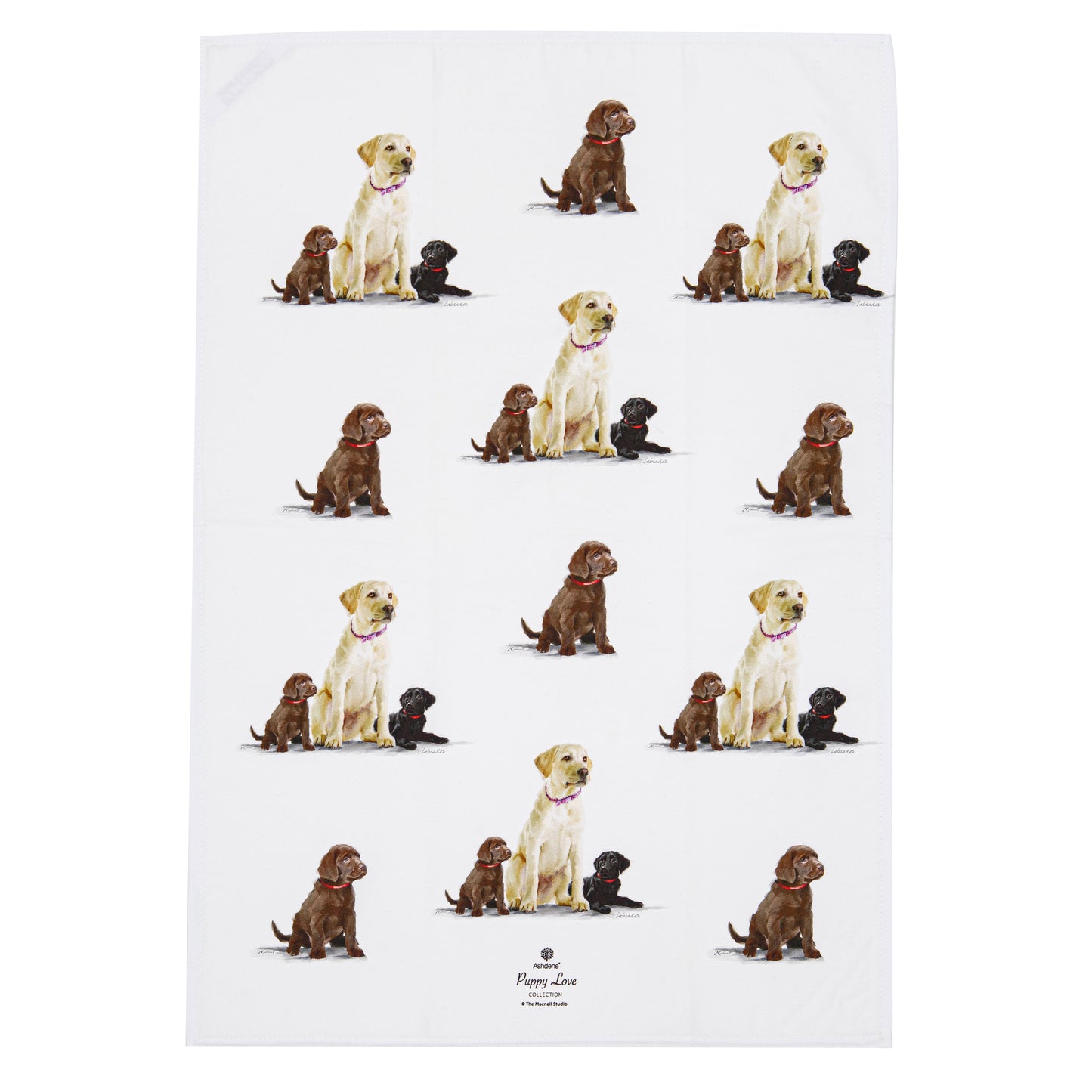 Puppy Love - Labrador Kitchen Towel (2PK)