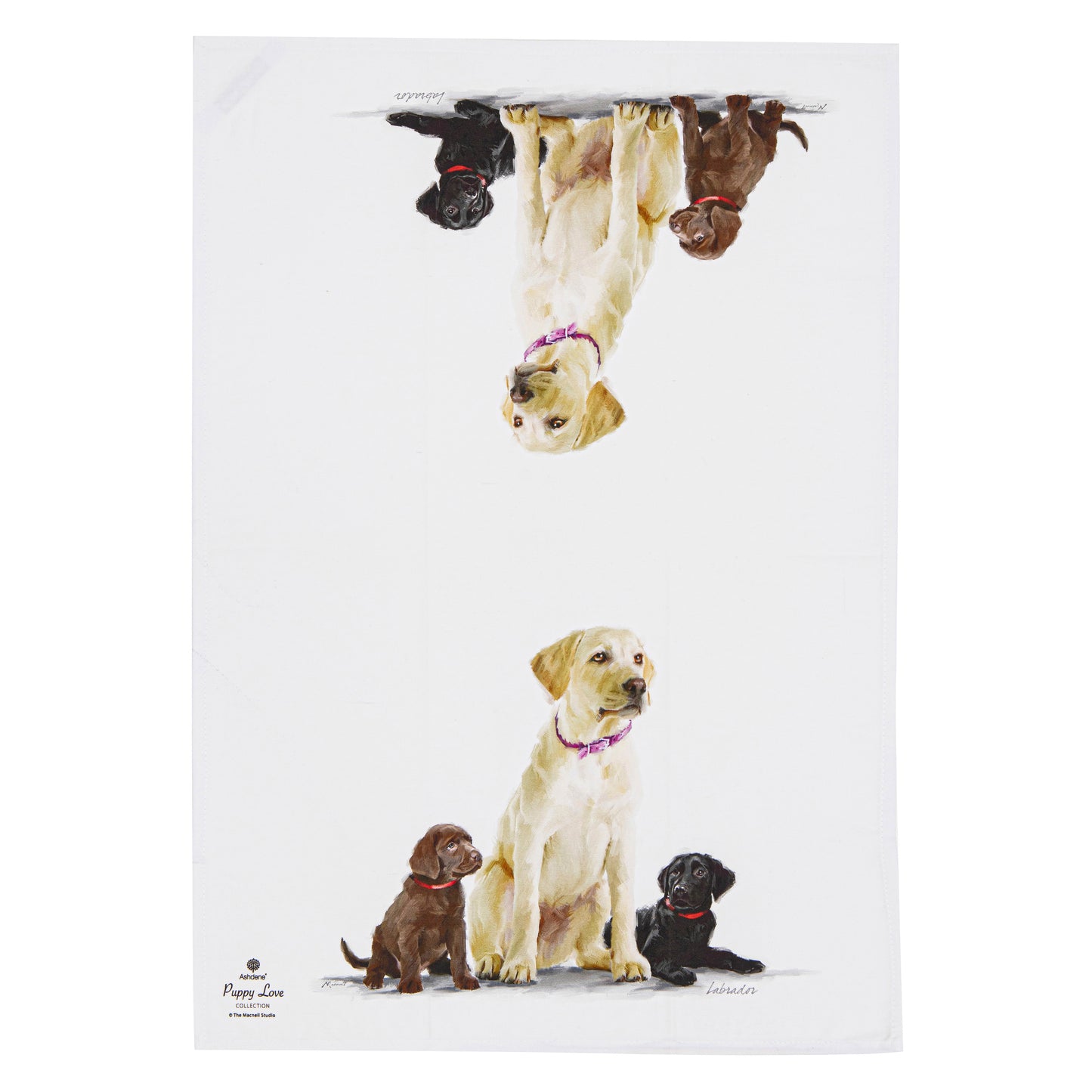 Puppy Love - Labrador Kitchen Towel (2PK)