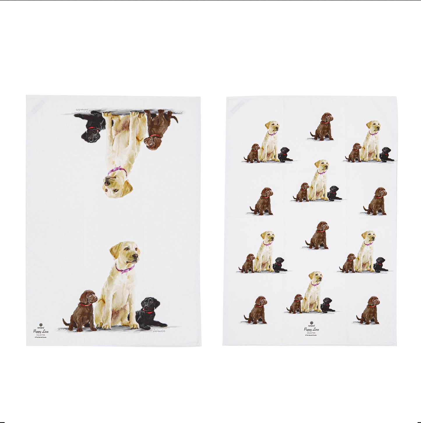 Puppy Love - Labrador Kitchen Towel (2PK)