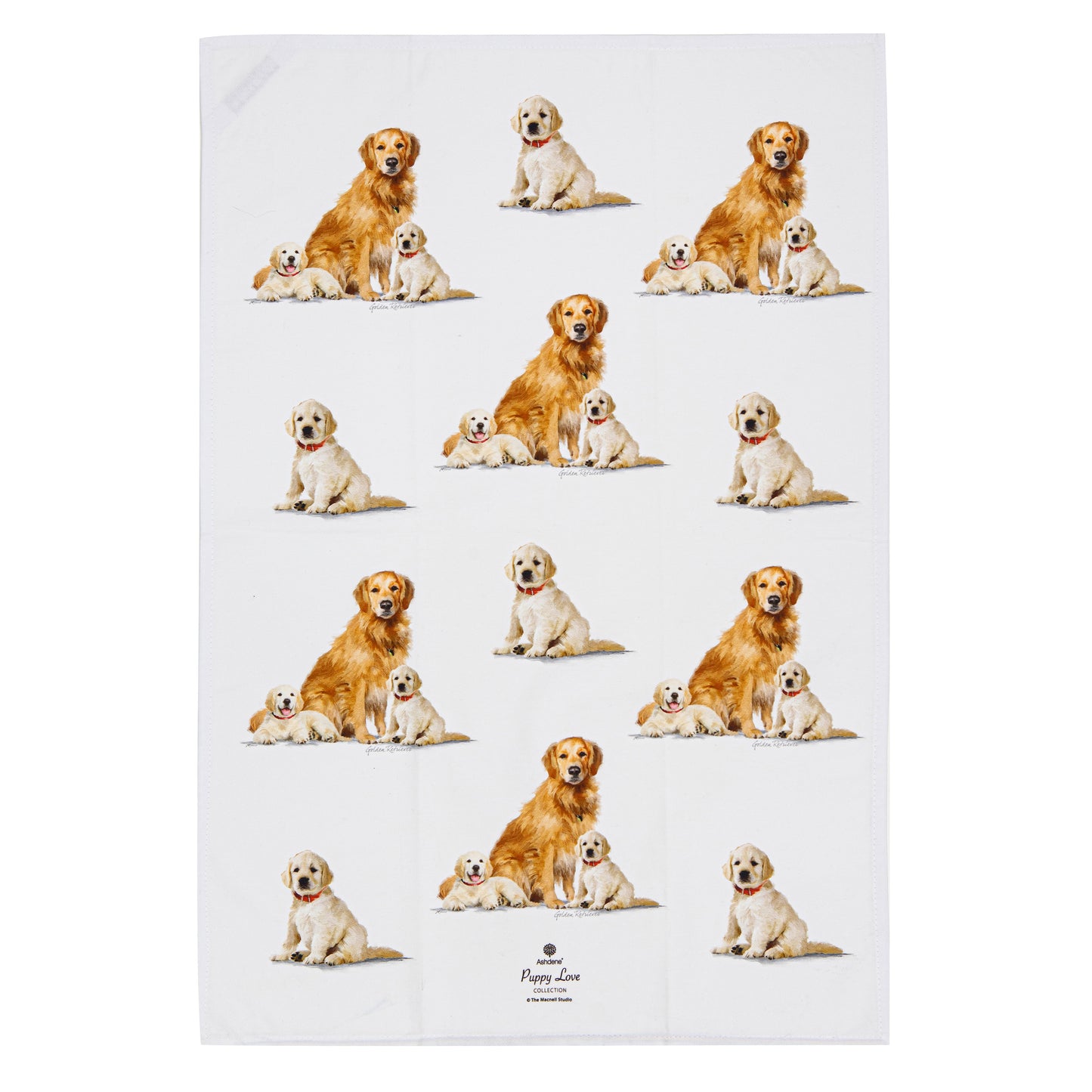 Puppy Love - Golden Retriever Kitchen Towel (2PK)