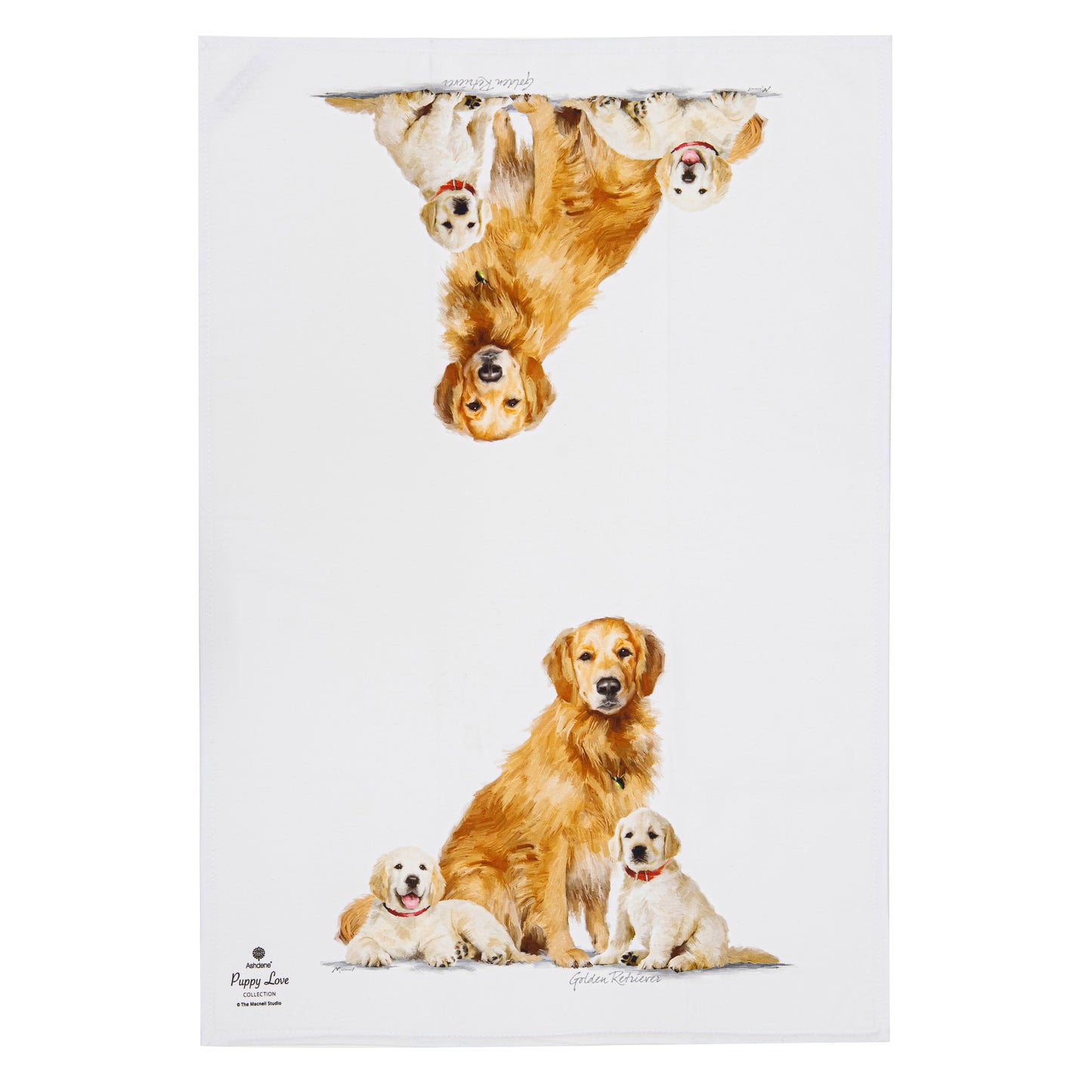 Puppy Love - Golden Retriever Kitchen Towel (2PK)