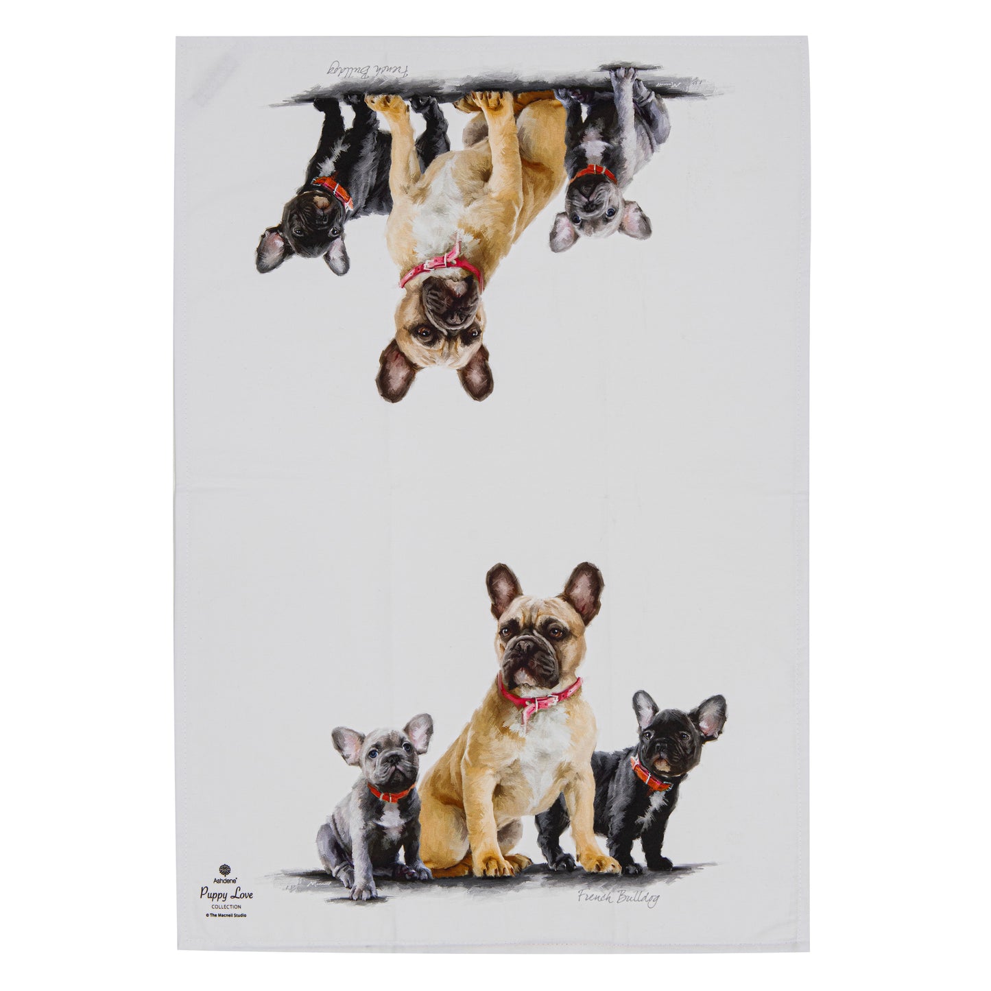 Puppy Love - French Bulldog Kitchen Towel (2PK)