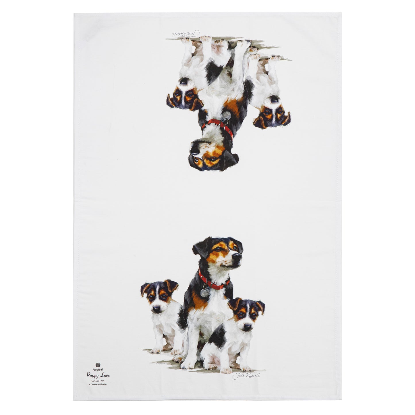 Puppy Love - Jack Russell Kitchen Towel (2PK)