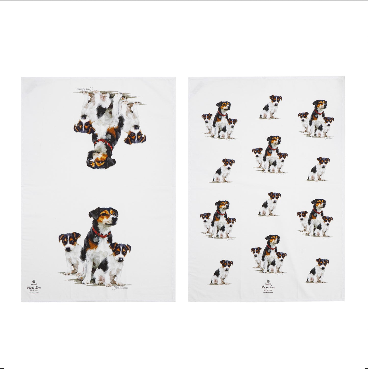 Puppy Love - Jack Russell Kitchen Towel (2PK)