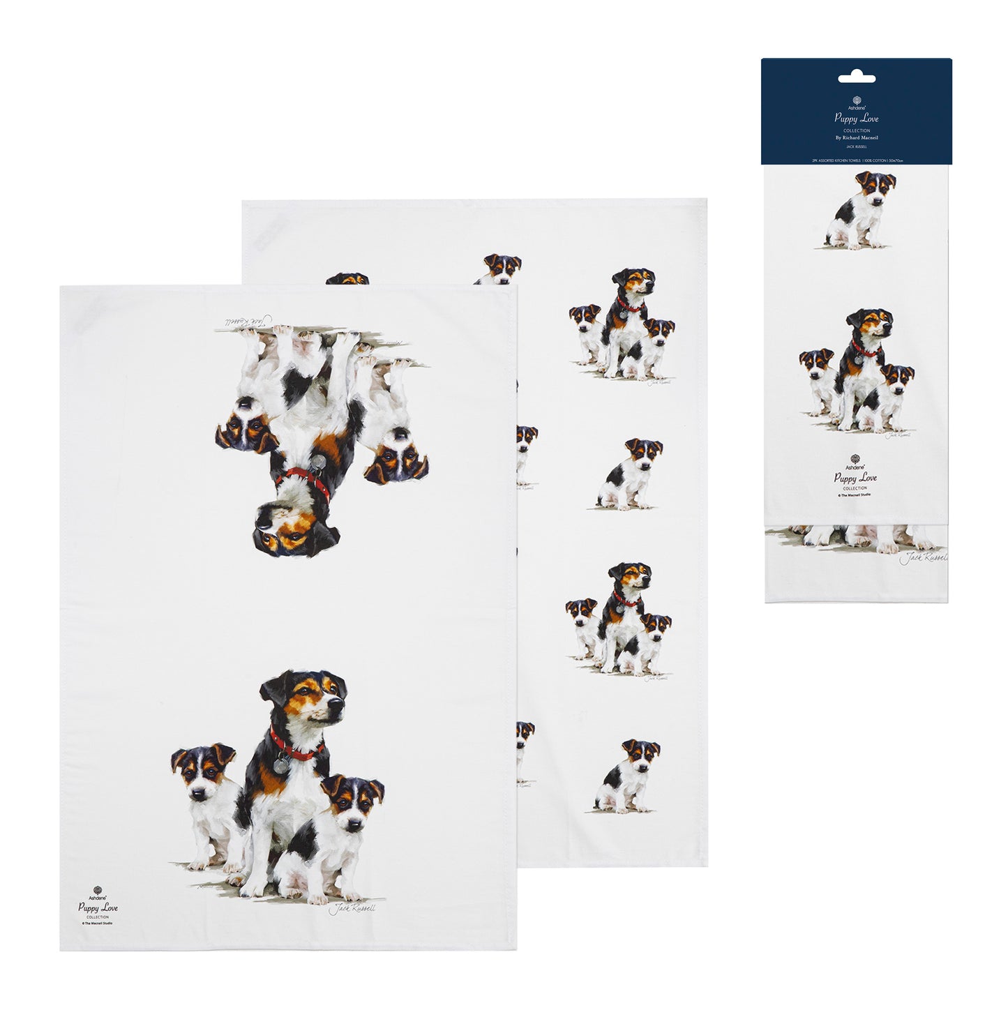 Puppy Love - Jack Russell Kitchen Towel (2PK)