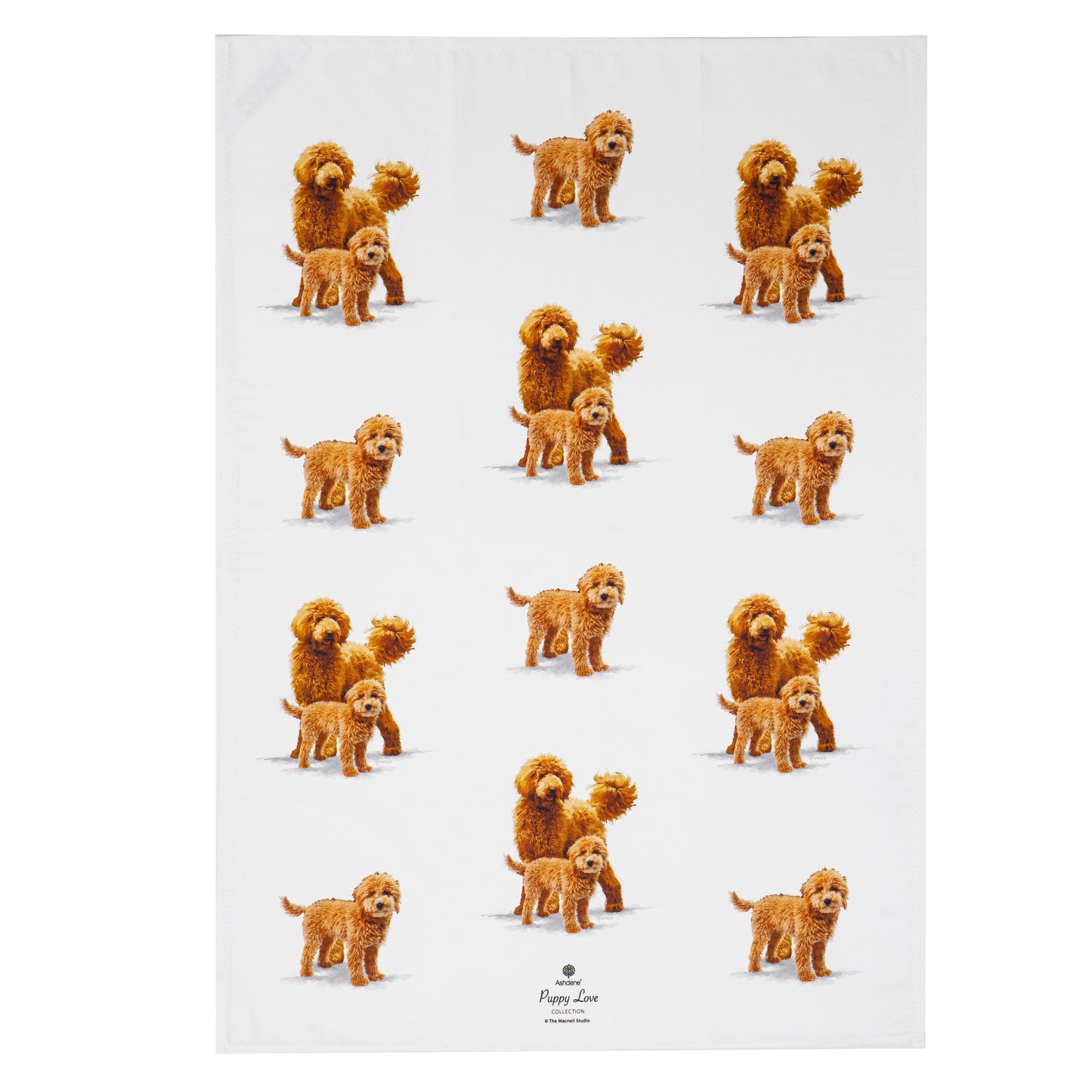 Puppy Love - Groodle Kitchen Towel (2PK)