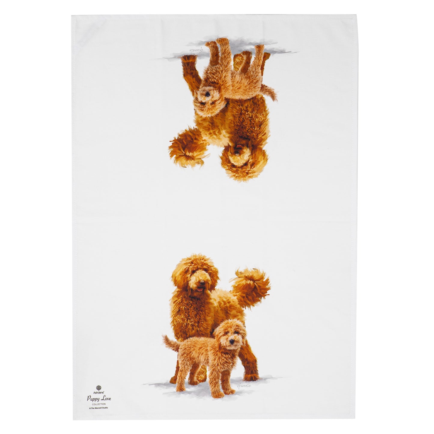 Puppy Love - Groodle Kitchen Towel (2PK)