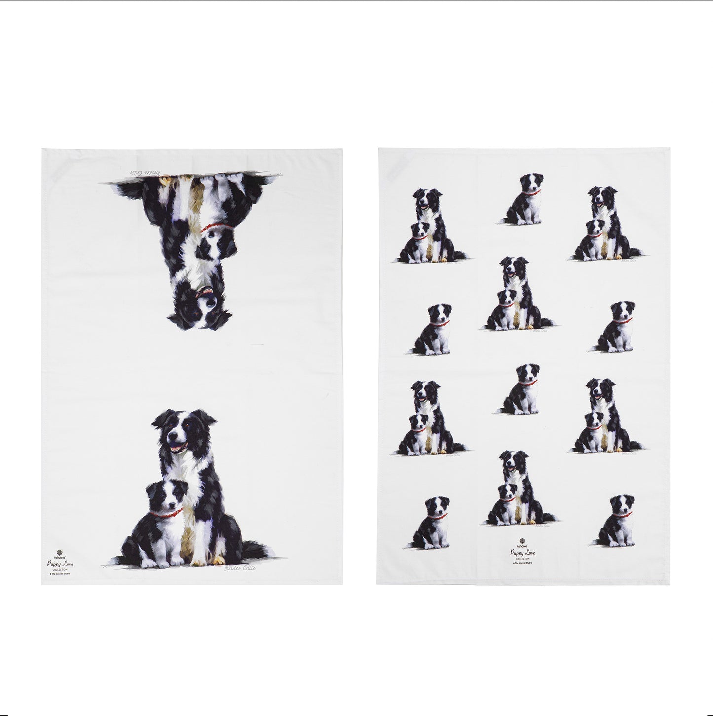 Puppy Love - Border Collie Kitchen Towel (2PK)