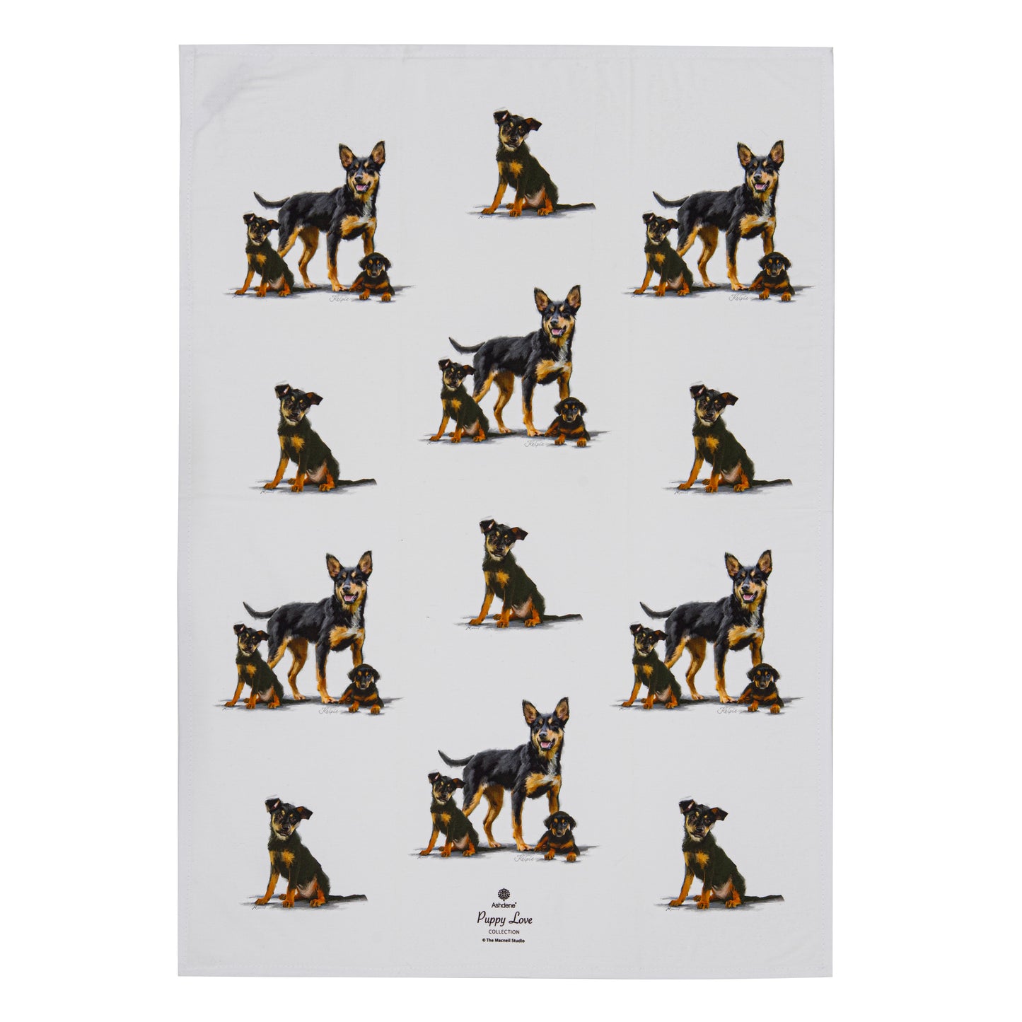 Puppy Love - Kelpie Kitchen Towel (2PK)