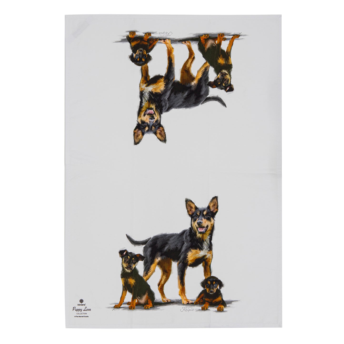 Puppy Love - Kelpie Kitchen Towel (2PK)