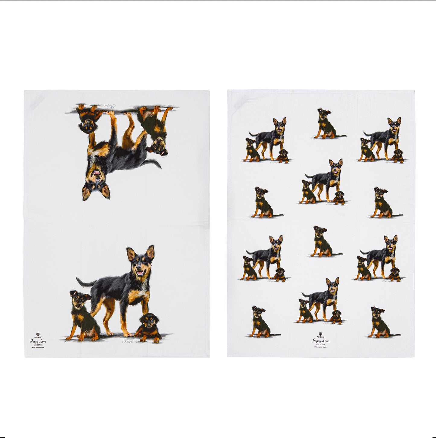 Puppy Love - Kelpie Kitchen Towel (2PK)