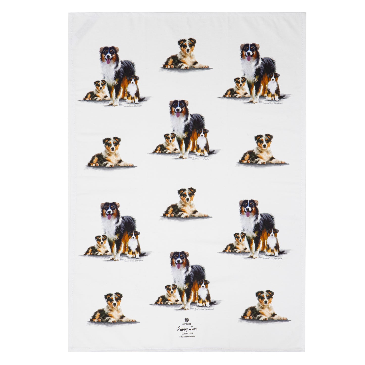 Puppy Love - Australian Shepherd Kitchen Towel (2PK)