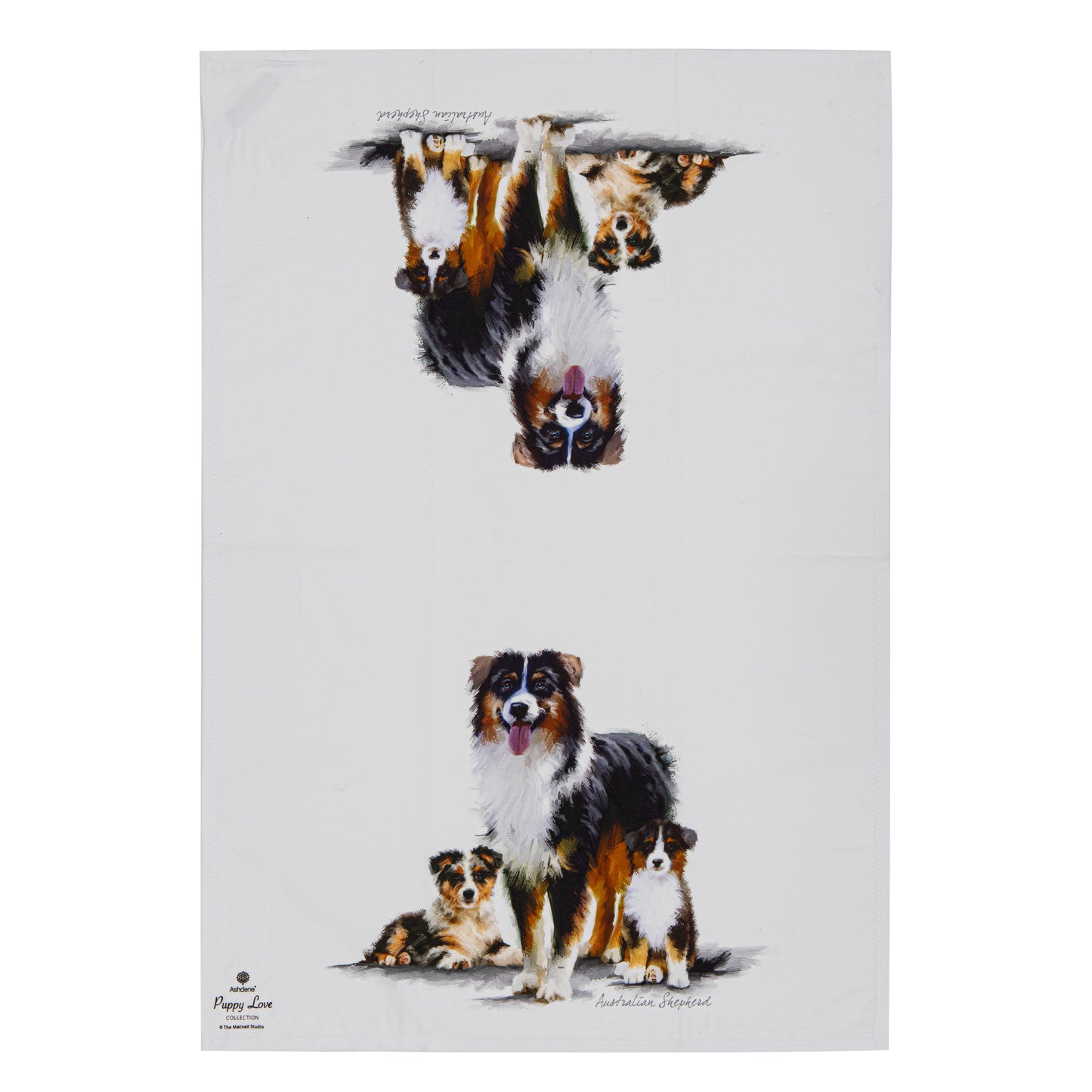 Puppy Love - Australian Shepherd Kitchen Towel (2PK)
