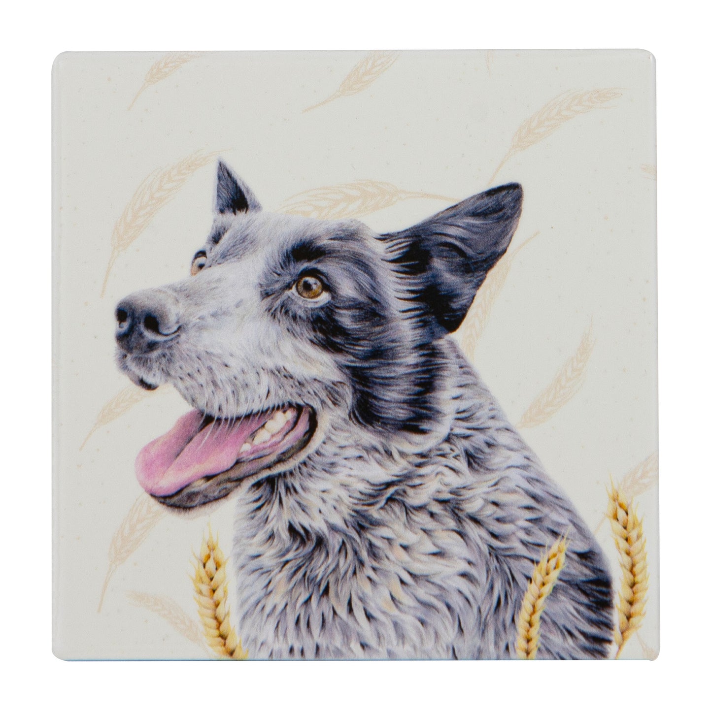 Farmyard Faces - Blue Heeler Ceramic Coaster