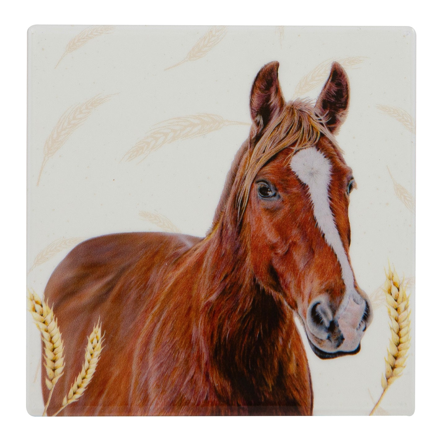 Farmyard Faces - Horse Ceramic Coaster