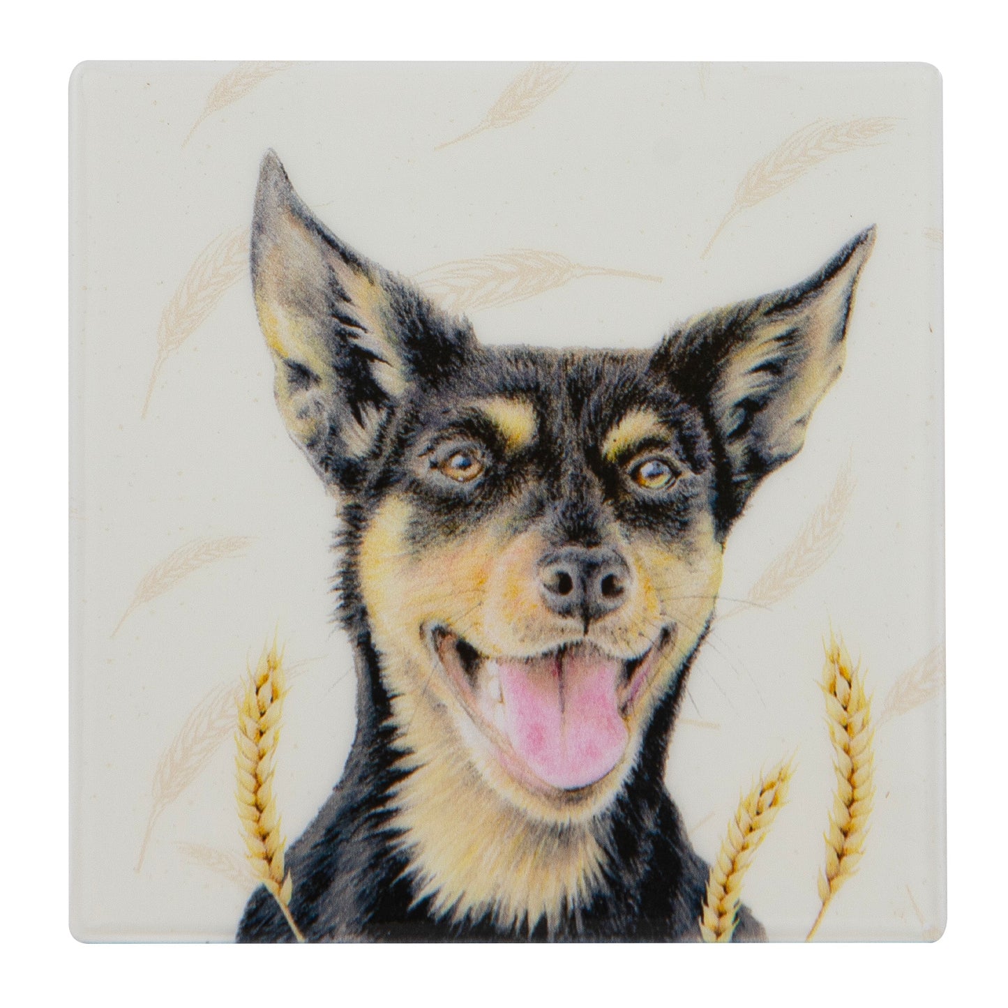 Farmyard Faces - Kelpie Ceramic Coaster