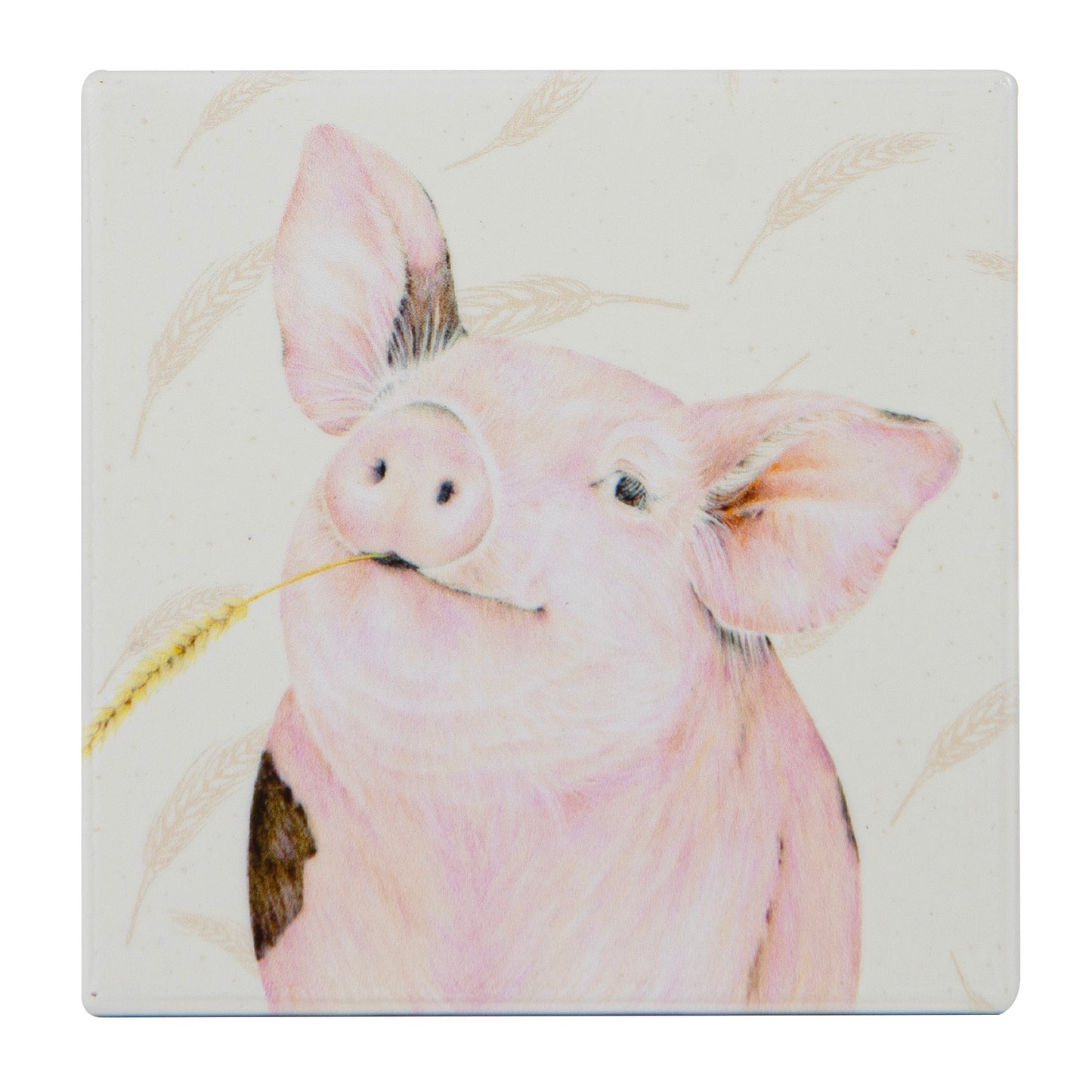 Farmyard Faces - Pig Ceramic Coaster