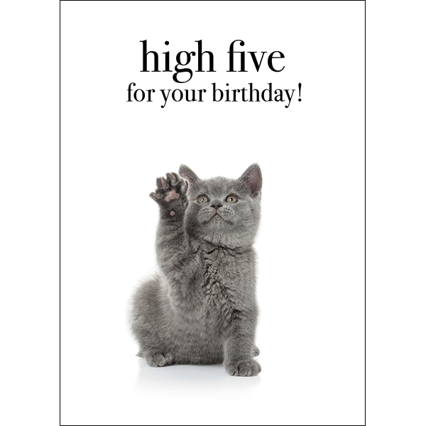Animal Affirmations Card - High Five For Your Birthday! (Cat)