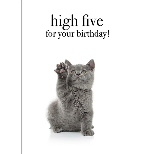 Animal Affirmations Card - High Five For Your Birthday! (Cat)