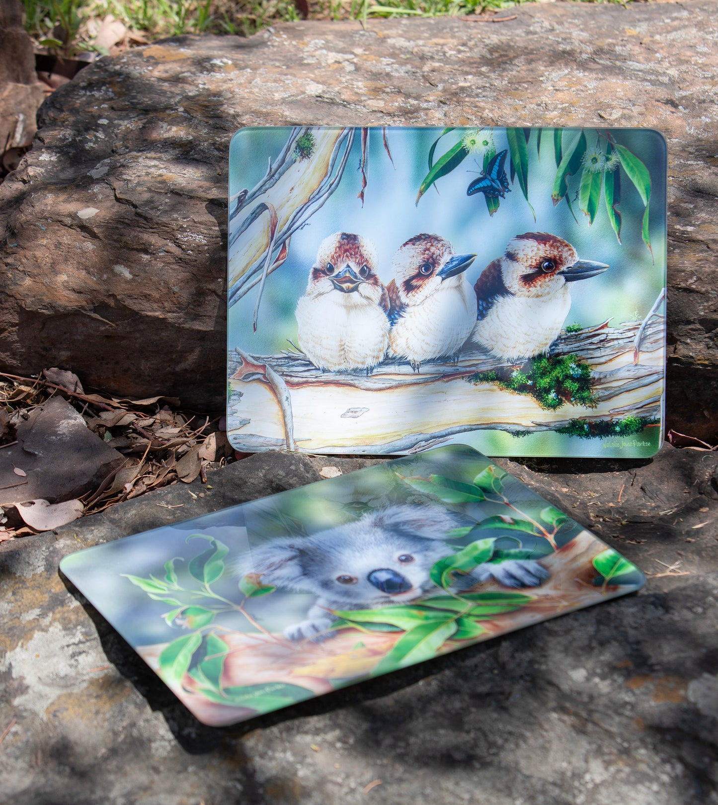 Babies Of The Bush - Kookaburra Surface Protector