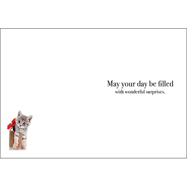 Animal Affirmations Card - Happy Birthday (Kitten)