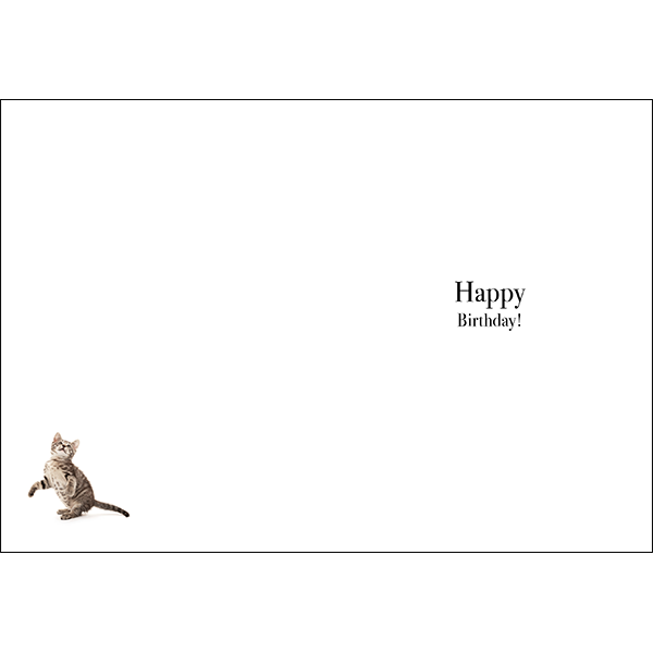 Animal Affirmations Card - I Hope Your Cake Is This Big (Kitten)