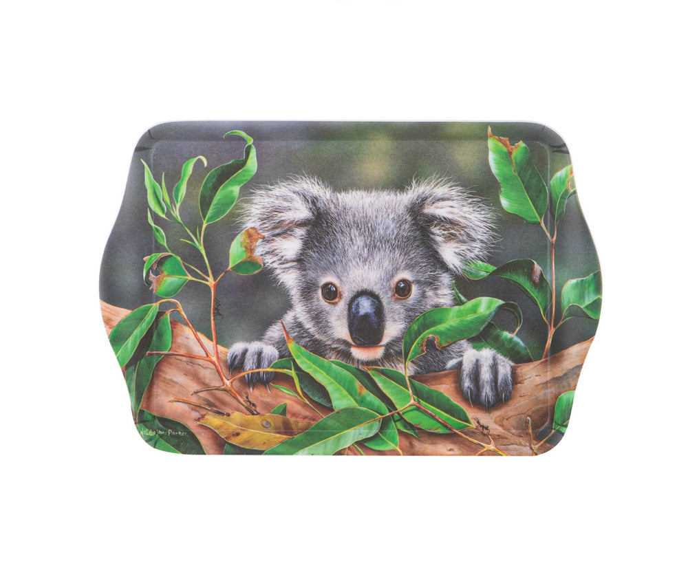 Babies Of The Bush - Koala Joey Scatter Tray