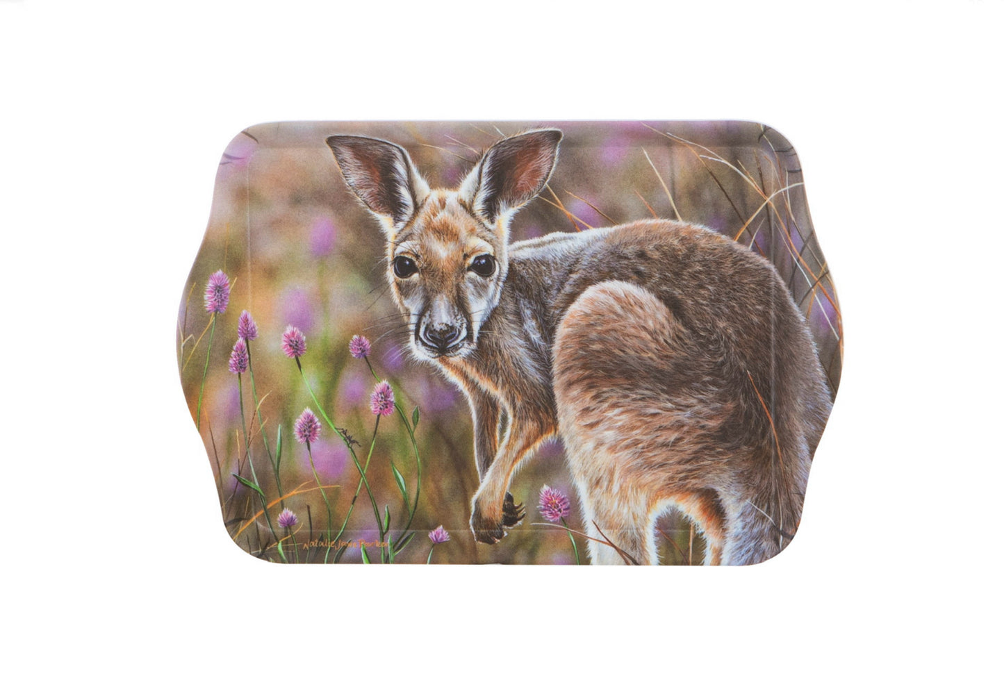 Babies Of The Bush - Kangaroo Joey Scatter Tray
