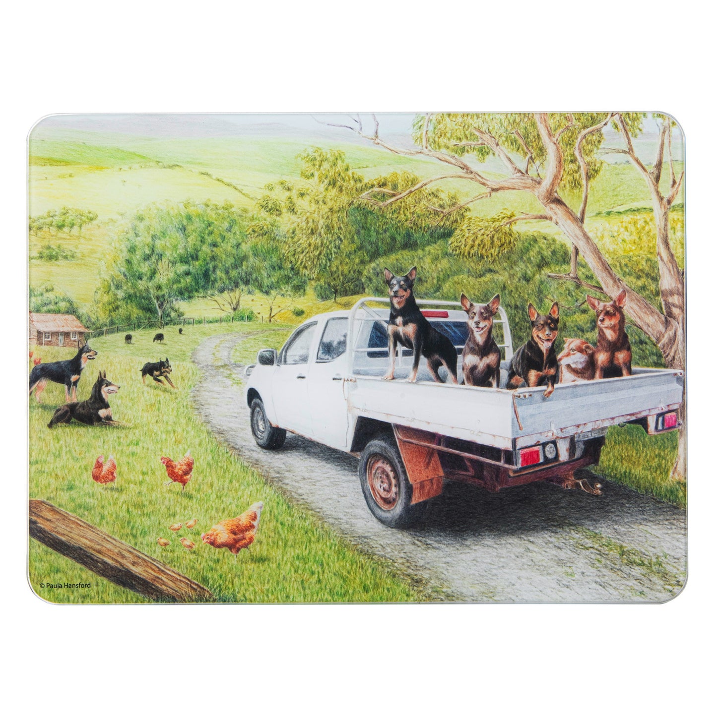 Working Dogs - Ute Surface Protector