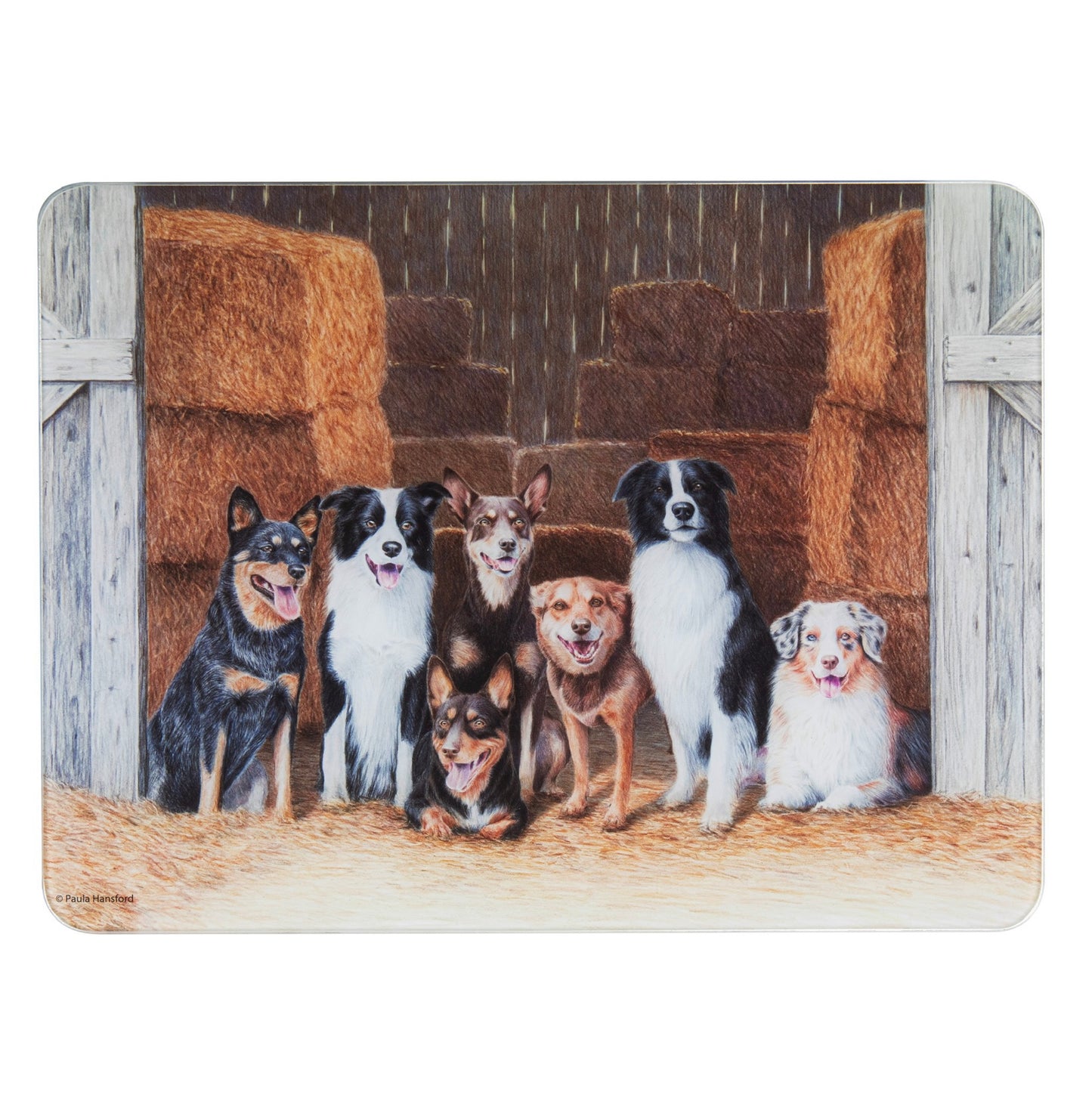 Working Dogs - Hay Shed Surface Protector