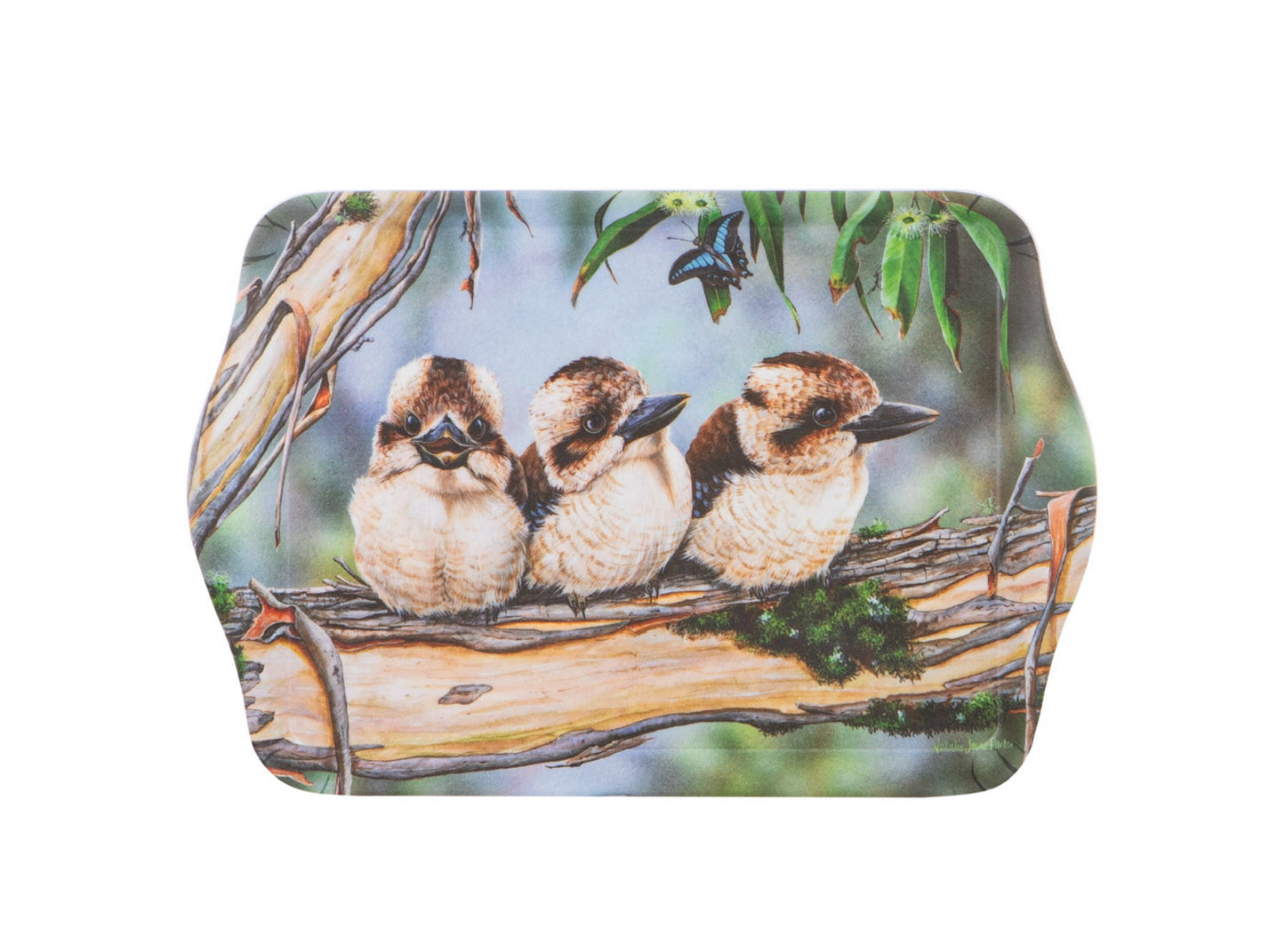 Babies Of The Bush - Kookaburra Scatter Tray