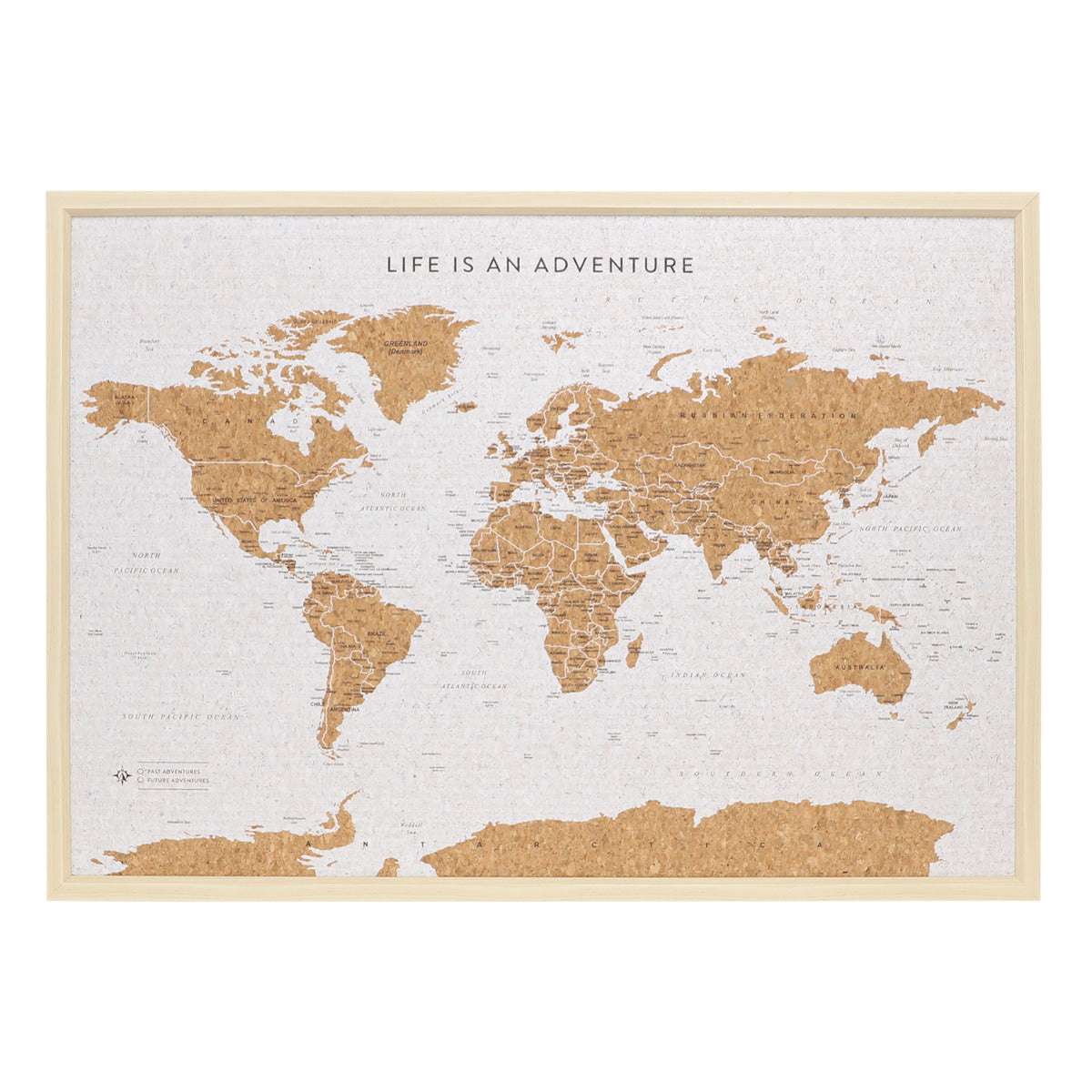 Large Travel Board - World Map