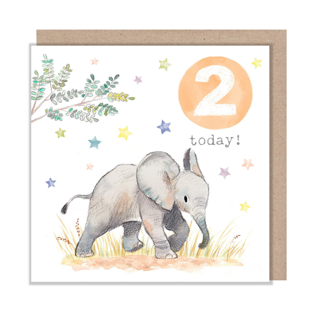 Paper Shed Design Card - Elephant Age 2