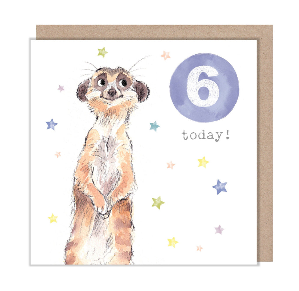 Paper Shed Design Card - Meerkat Age 6
