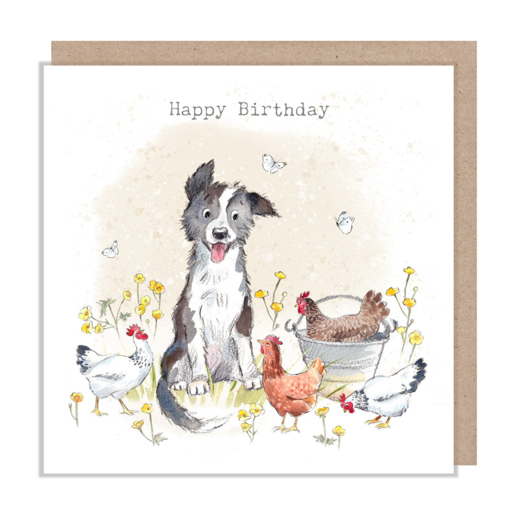 Paper Shed Design Card - Border Collie with Hens