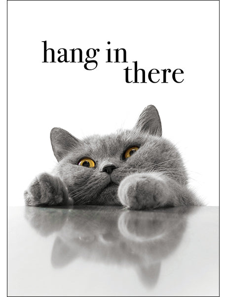 Animal Affirmations Card - Hang In There (Cat)