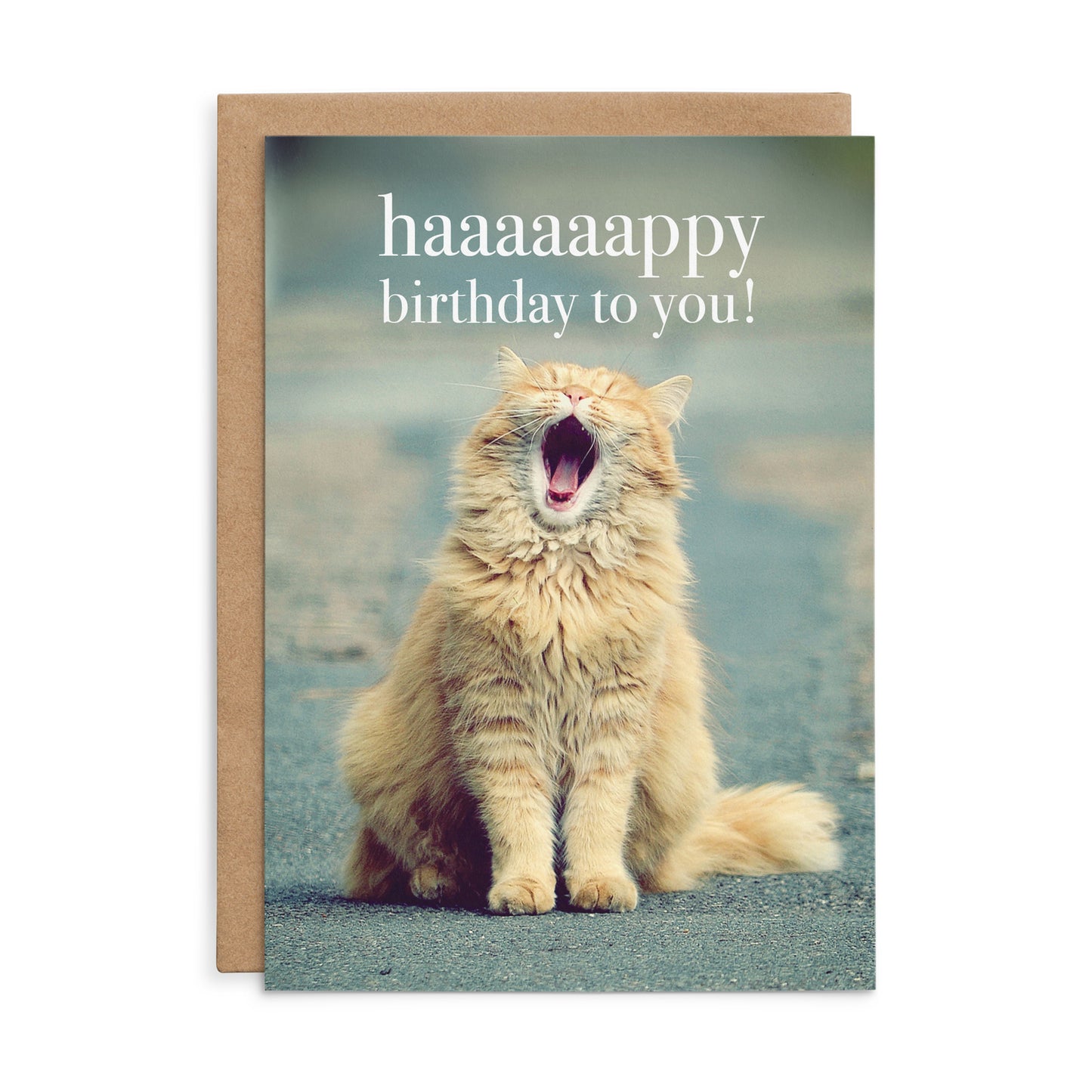 Animal Affirmations Card - Haaaaaappy Birthday to You! (Cat)