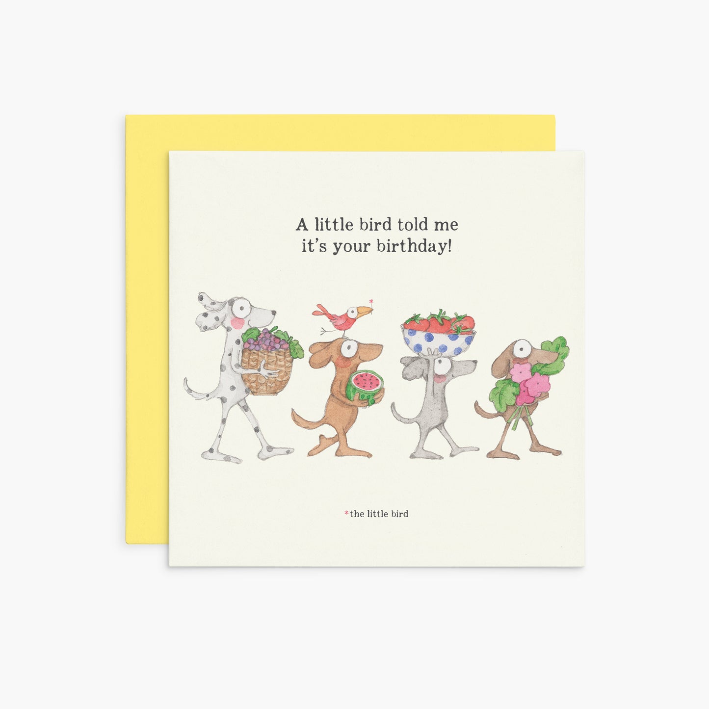 Twigseeds Birthday Card - A Little Bird Told Me It’s Your Birthday!
