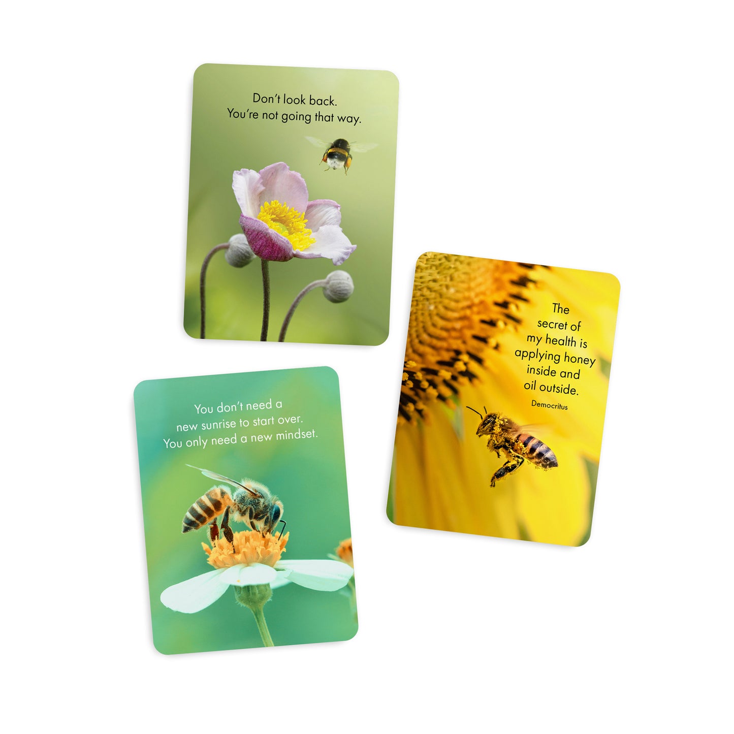 Little Affirmations Cards - Bee Happy