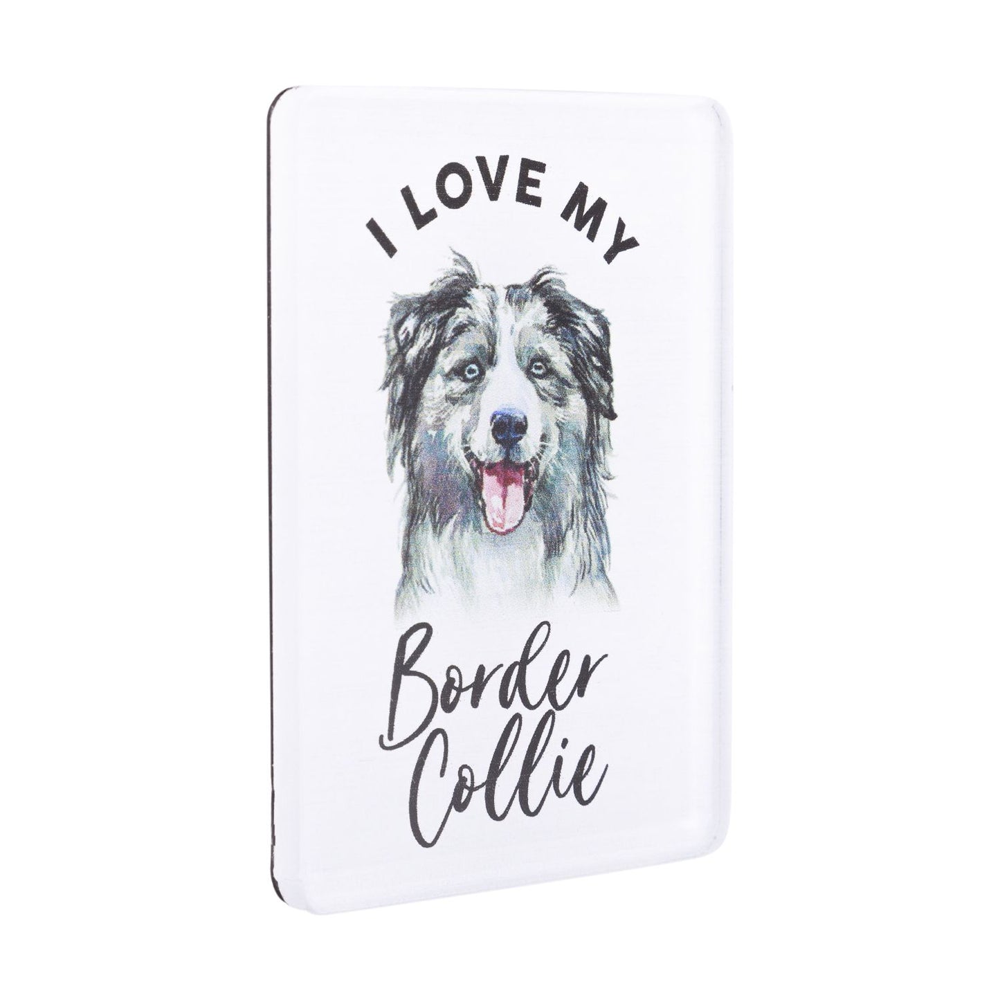 Pet Lovers Acrylic Magnet - Border Collie