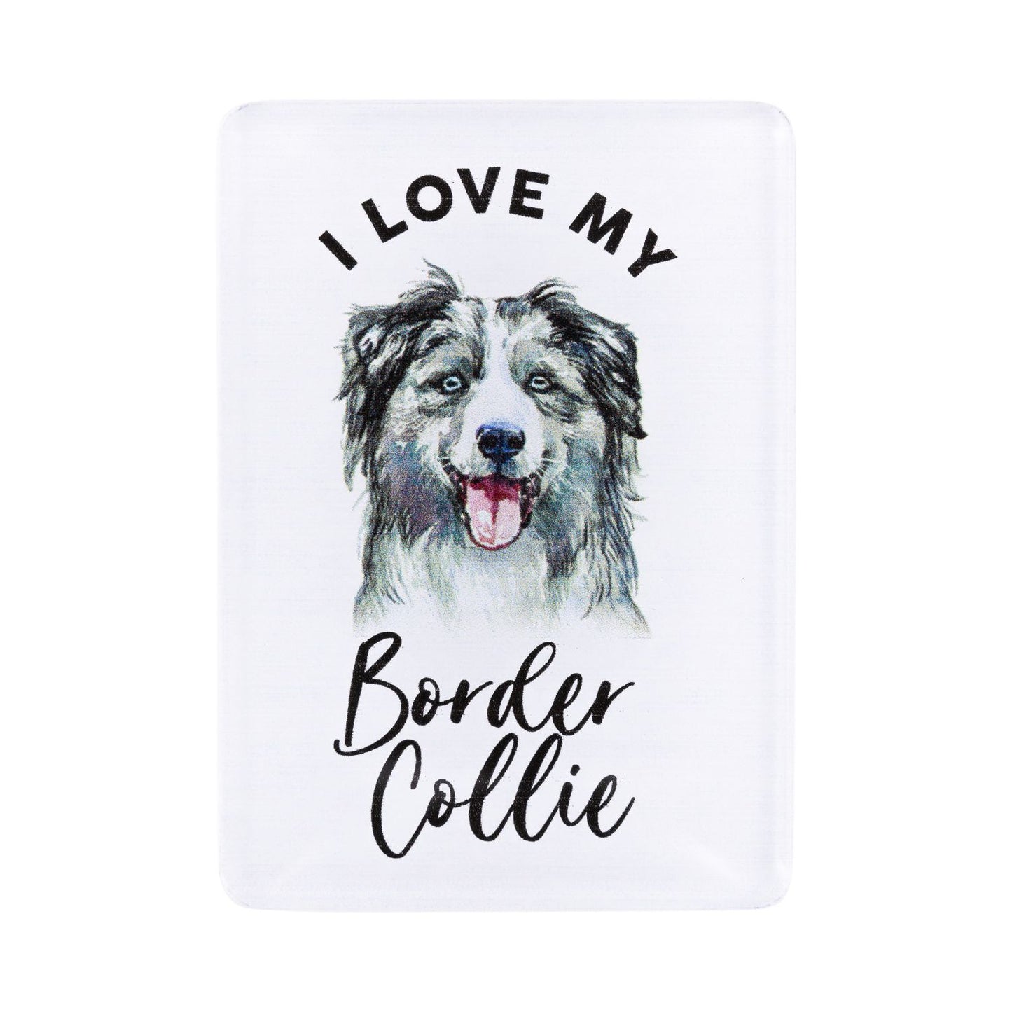 Pet Lovers Acrylic Magnet - Border Collie