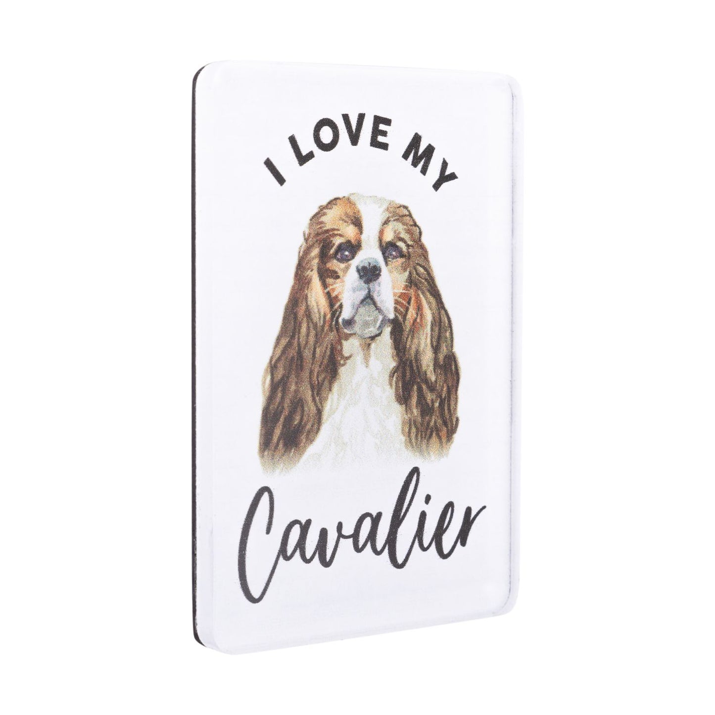 Pet Lovers Acrylic Magnet - Cavalier
