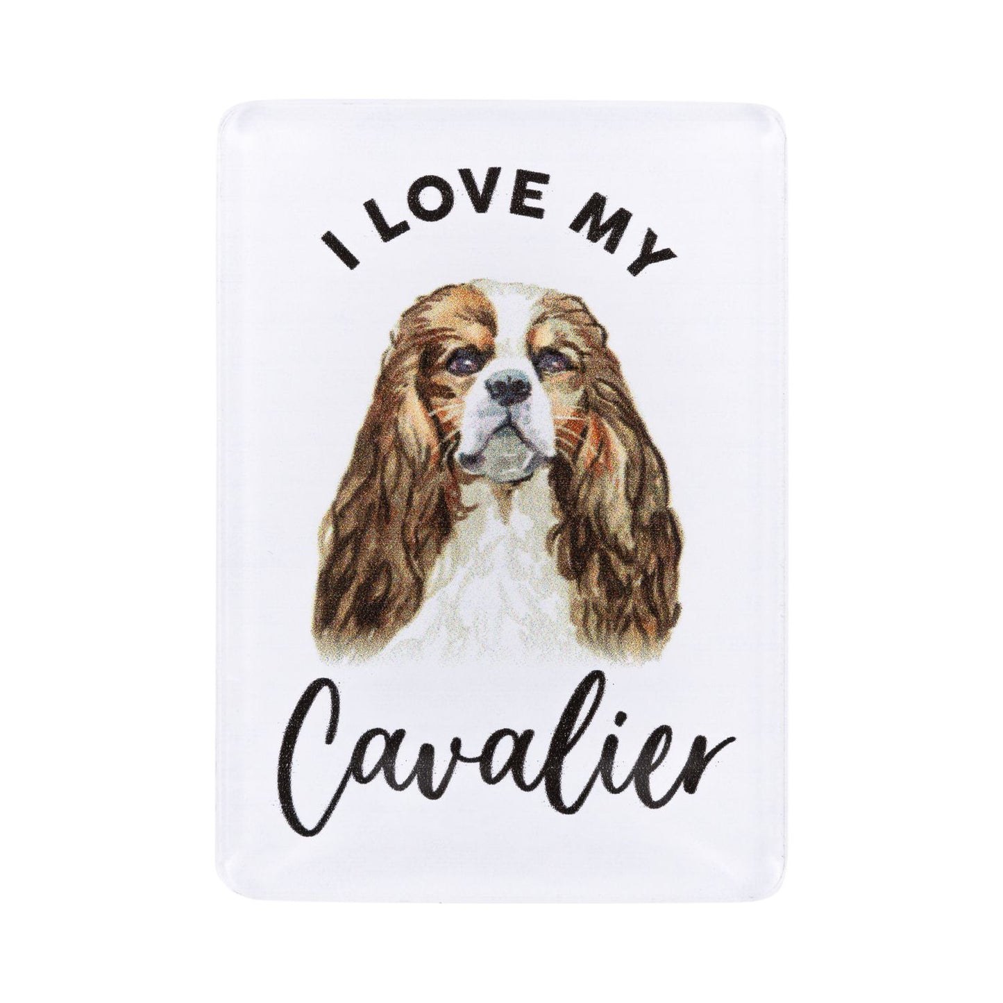 Pet Lovers Acrylic Magnet - Cavalier