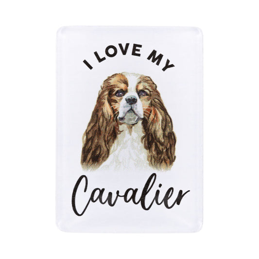 Pet Lovers Acrylic Magnet - Cavalier