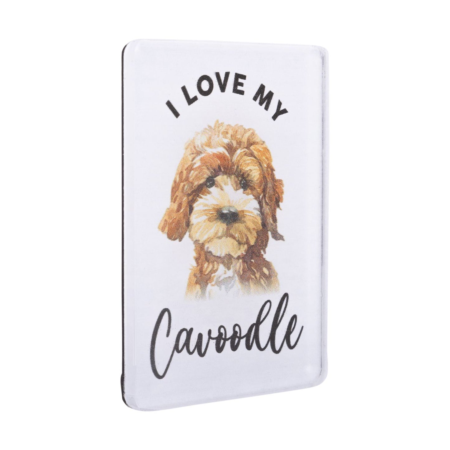Pet Lovers Acrylic Magnet - Cavoodle