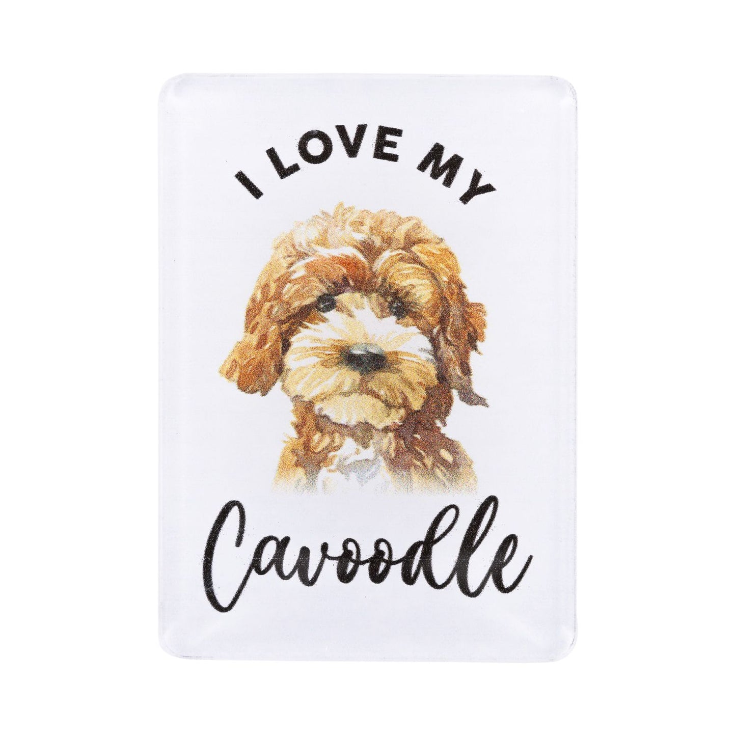 Pet Lovers Acrylic Magnet - Cavoodle
