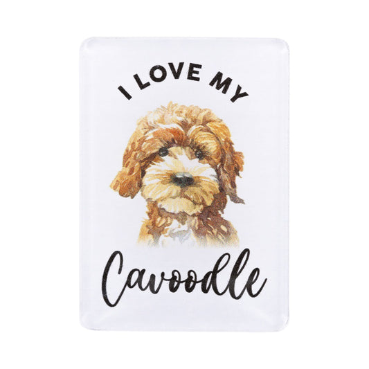 Pet Lovers Acrylic Magnet - Cavoodle