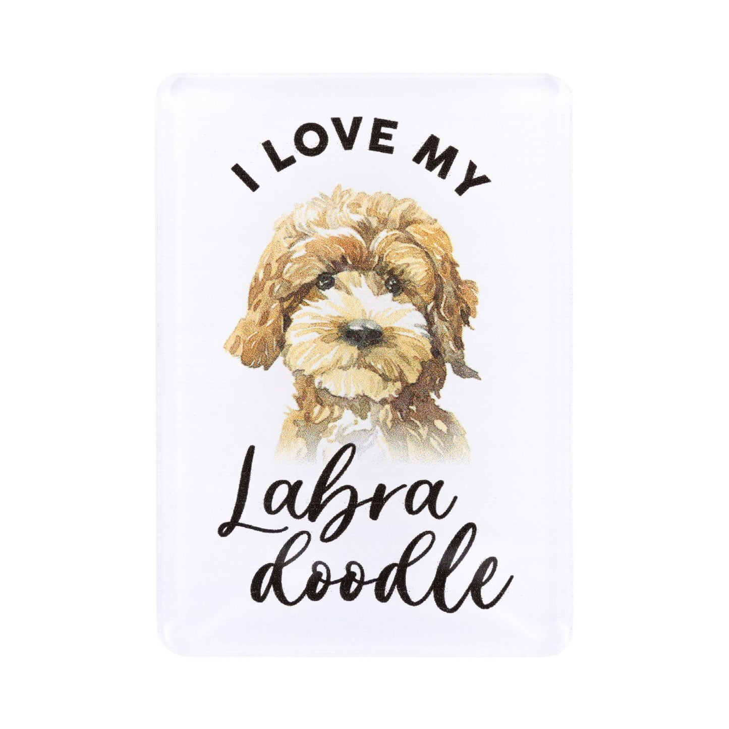 Pet Lovers Acrylic Magnet - Labradoodle