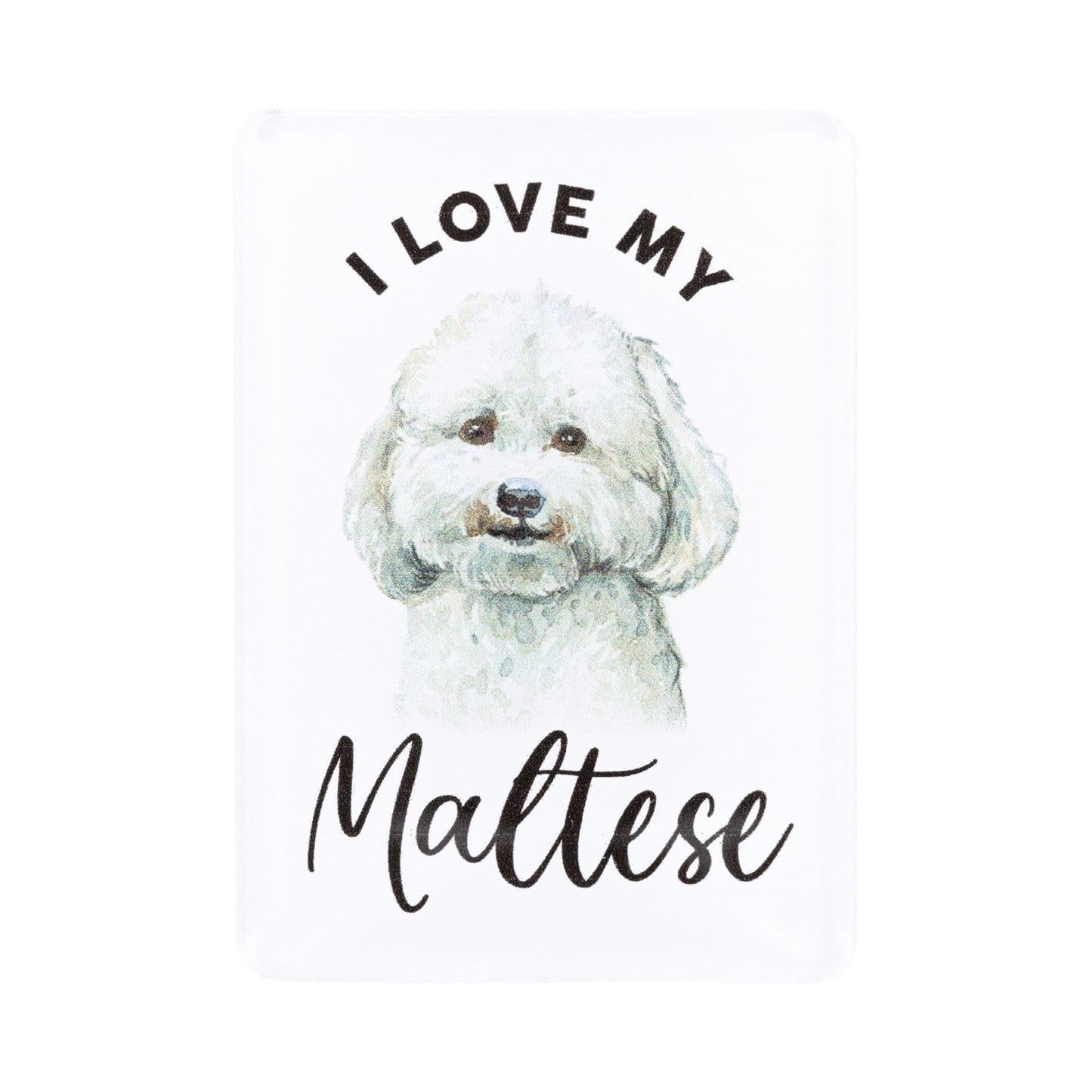 Pet Lovers Acrylic Magnet - Maltese
