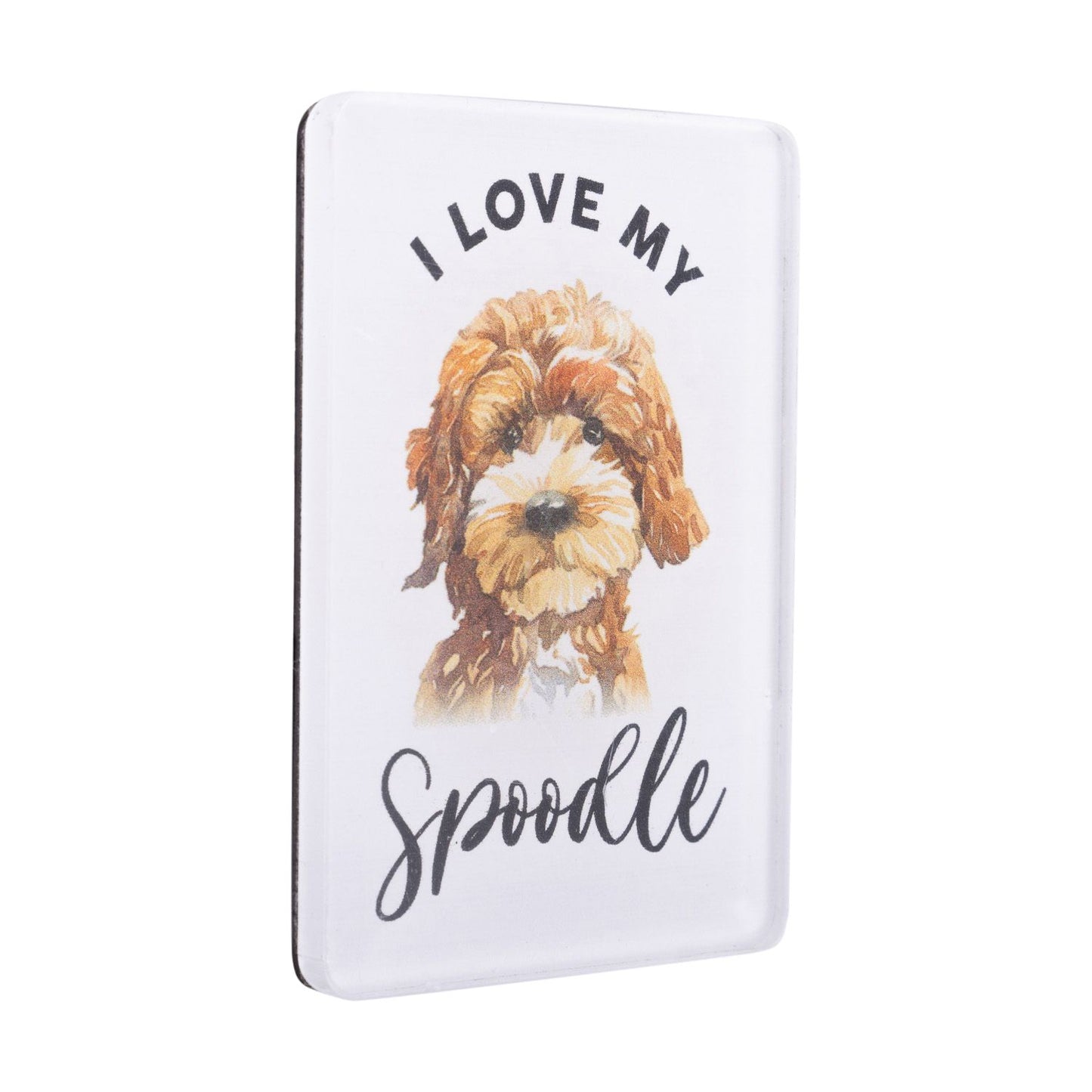 Pet Lovers Acrylic Magnet - Spoodle
